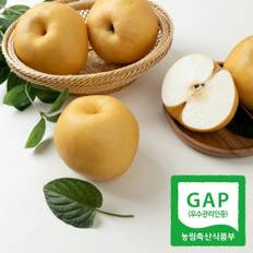[유명산지] 나주배 가정용 3kg (7-9과) 신고배 나주직송