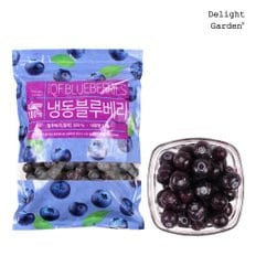 냉동 블루베리(칠레산)1kg x 5