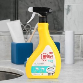 II 애경 홈백신 욕실용 세정제 600ml ( 화장실 타일 물때 비누때 틈새 청소 용품