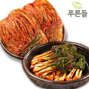 [푸른들] 전라남도 함평김치 / 포기김치 1kg + 파김치 1kg