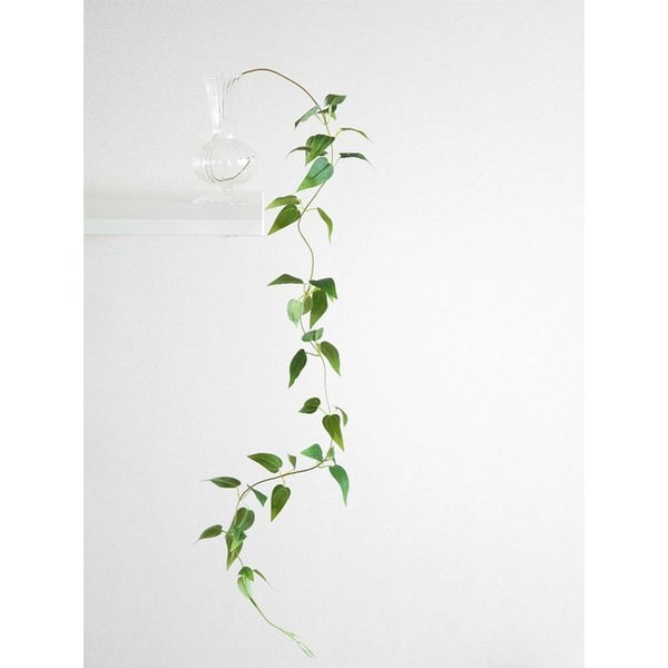 스마일락스 넝쿨 조화 담쟁이 덩굴 행잉플랜트