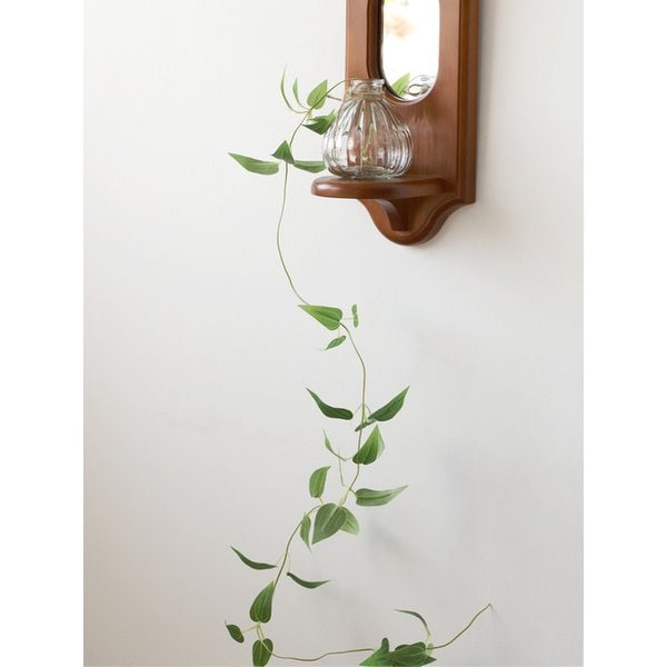 스마일락스 넝쿨 조화 담쟁이 덩굴 행잉플랜트