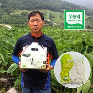죽곡토란 곡성 무농약 깐토란 1kg , 생토란 2kg  /