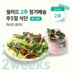 샐러드 2주 정기배송 주5일 (채소만 샐러드 5종 5팩)