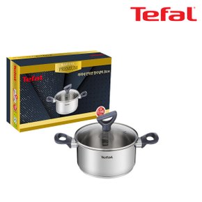 [BIZ][Tefal] 테팔 라피네 인덕션 프리미엄 양수냄비 20cm