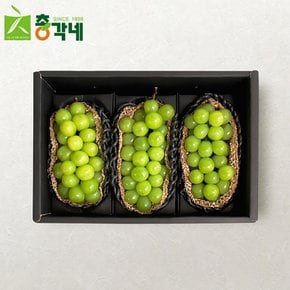 [9/11(수) 오전9시 주문마감][총각네] 명품 샤인머스캣 선물세트 2호 2kg 3송이