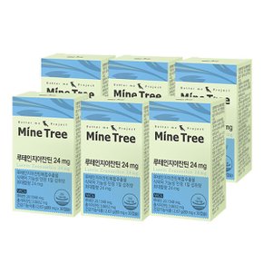 마인트리 루테인지아잔틴 6박스 최대함량