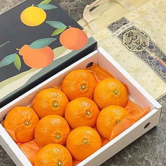 지투지샵 레드향 선물용 4.5kg 소과