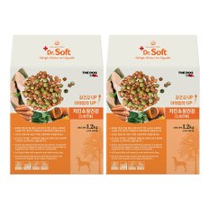 닥터소프트 치킨&장건강 (노령견용) 1.2kg x 2개