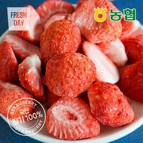 [농협] 생딸기그대로 동결건조 딸기칩 나는딸기얌 12g[36168288]