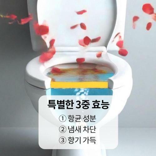 이미지 DP
