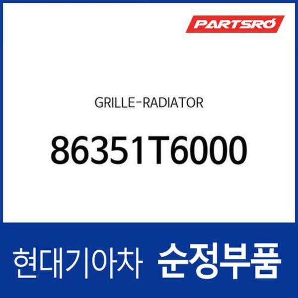 그릴-라디에이터 (86351T6000) 제네시스 GV80 현대모비스부품몰