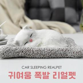 차량용 리얼펫 잠자는 강아지 고양이 인형장식 (S10463454)