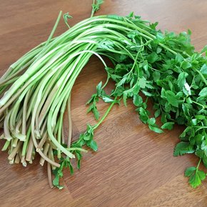 연하고 부드러운 청도 미나리 1kg