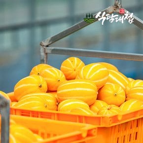 가정용 성주 참외 2kg 크기랜덤