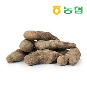 [북안동농협] 안동 산마 (중)3kg
