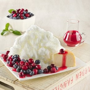 업체발송흥국 스노우빙 빙수블럭 요거트 대패타입 300g 24개입 냉동