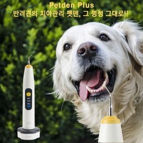 펫덴플러스 반려견 반려묘 초음파 치석제거기 셀프 스케일링 애견 스케일러..