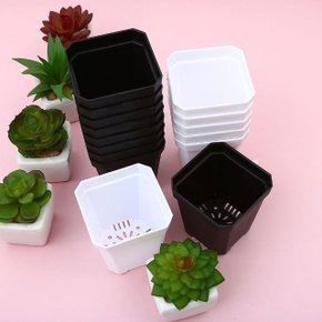 블랙 화이트 미니 플라스틱 토분 화분7x8cm (WB5DD8C)