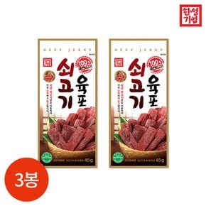 한성기업 쇠고기육포 45g x 3봉[30310111]