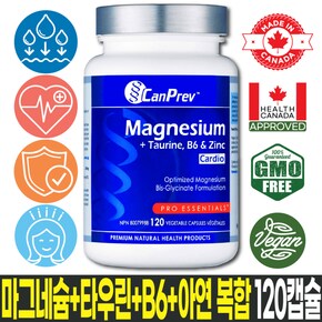 심장 기능·이완·활력 지원 마그네슘 비스글리시네이트 타우린 B6 아연 30일분
