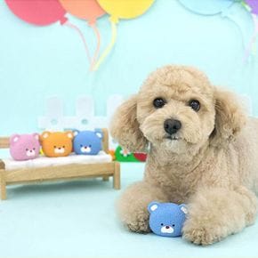 큐트베어 라텍스 토이 강아지 고양이 애견 장난감(랜덤발송)1P