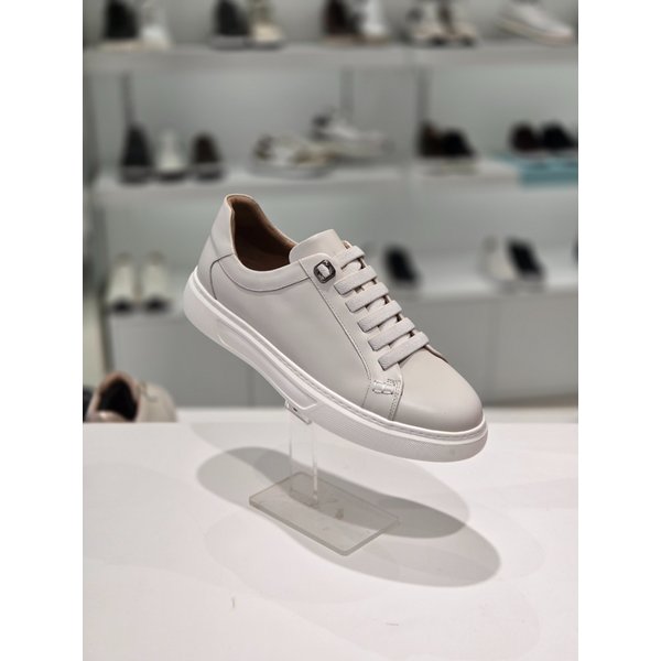 [부산점] 미셸by탠디  남성스니커즈(y26028)