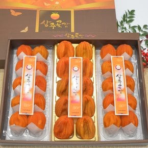 상주아람곶감 반건시+건시 선물세트 혼합 4호(반건시20구+곶감20구)