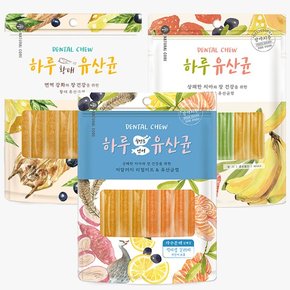 하루유산균 12p x2개 소프트껌 3종