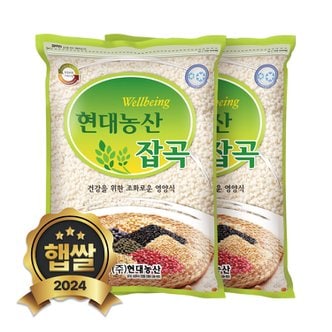 현대농산 국산 찹쌀 4kg (2kgx2봉)