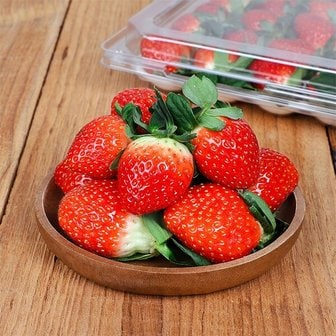 지투지샵 국산 설향딸기 700g 특품