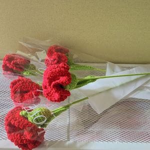 오너클랜 빨간 카네이션 뜨개꽃 어버이날 스승의날 이벤트 선물