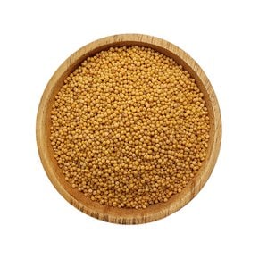 겨자씨 백개자 백계자 300g(팩)