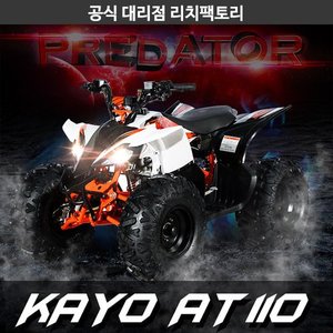 KAYO AT110 / 카요 AT 110 [스포츠형/2WD/전후진가능/탁월한힘/포켓바이크/미니바이크]