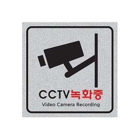 펄사인 CCTV녹화중 8002 200X200mm 펄아크릴표지판 (W28B60E)