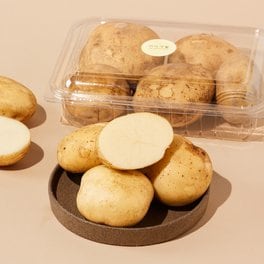  [프리미엄] 쫀득한 상남 통일감자 1.1kg
