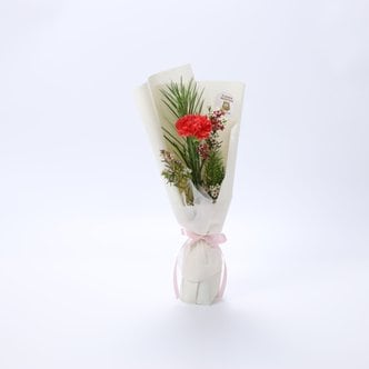 플라워몬스터 카네이션 한송이 꽃선물 꽃다발 어버이날 스승의날 생일선물 프로포즈 꽃배달