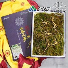 딸부자산약초농원 지리산 백두대간에서 자란 함양 산양삼 5뿌리(7-8년)