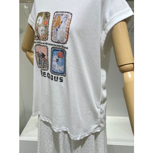 IMAGE7