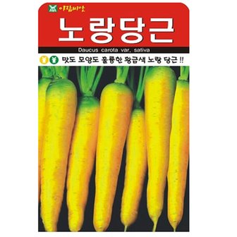  노랑 당근씨앗 500립