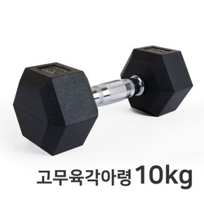 고무육각아령 10kg