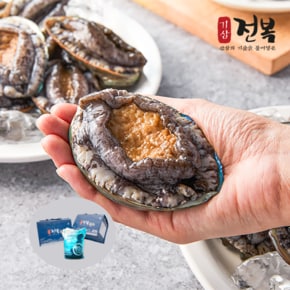 기삼활전복 중 1kg(13-15미 마리당66g 내외)_국내산(양식)