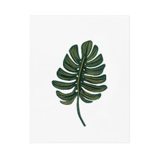 [Rifle Paper Co.] Monstera Leaf Art Print 2 size