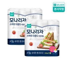 [한정특가] 스마트 다용도 키친타월 250매*12롤 2팩 (총24롤)