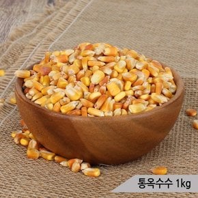 건강알곡 통옥수수 1kg 앵무새 햄스터 영양간식 사료