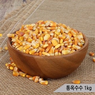 올블루 건강알곡 통옥수수 1kg 앵무새 햄스터 영양간식 사료