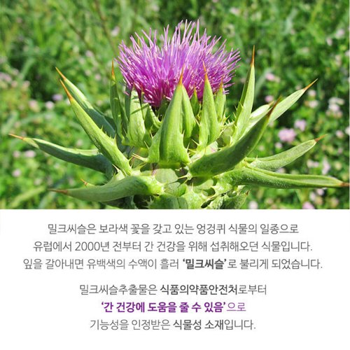 상품이미지5