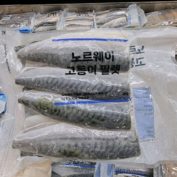 노르웨이 고등어필렛 1kg