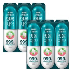 2080 진지발리스 허벌민트 치약 120g X 6개