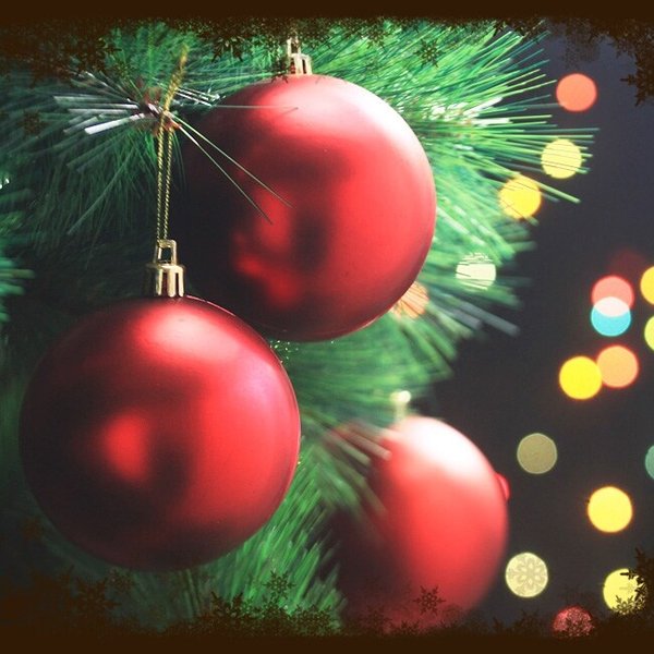 레드 무광볼 6p세트(8cm) 트리 장식볼